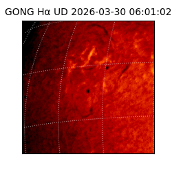 gong - 2026-03-30T06:01:02