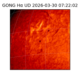 gong - 2026-03-30T07:22:02