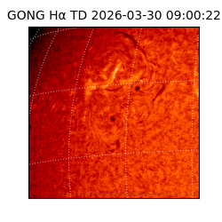 gong - 2026-03-30T09:00:22