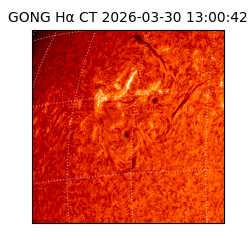 gong - 2026-03-30T13:00:42