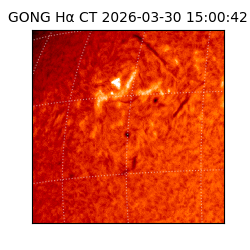 gong - 2026-03-30T15:00:42