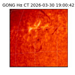 gong - 2026-03-30T19:00:42