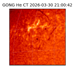 gong - 2026-03-30T21:00:42