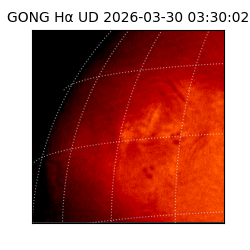 gong - 2026-03-30T03:30:02