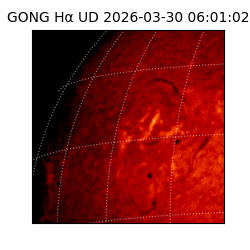 gong - 2026-03-30T06:01:02