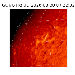 gong - 2026-03-30T07:22:02