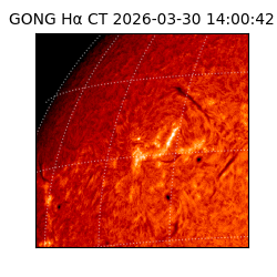 gong - 2026-03-30T14:00:42