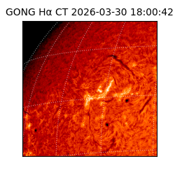 gong - 2026-03-30T18:00:42