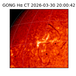 gong - 2026-03-30T20:00:42