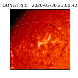 gong - 2026-03-30T21:00:42