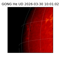 gong - 2026-03-30T10:01:02