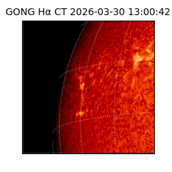gong - 2026-03-30T13:00:42