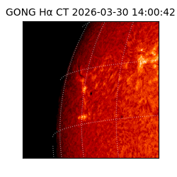 gong - 2026-03-30T14:00:42