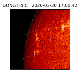 gong - 2026-03-30T17:00:42