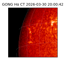 gong - 2026-03-30T20:00:42