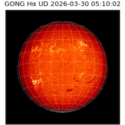 gong - 2026-03-30T05:10:02