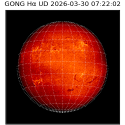 gong - 2026-03-30T07:22:02