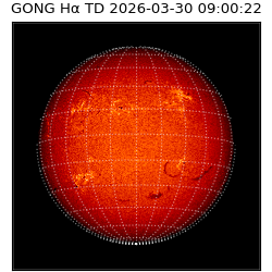 gong - 2026-03-30T09:00:22