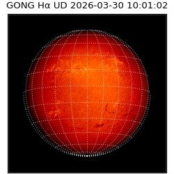 gong - 2026-03-30T10:01:02