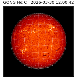 gong - 2026-03-30T12:00:42