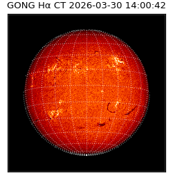 gong - 2026-03-30T14:00:42