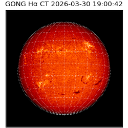 gong - 2026-03-30T19:00:42