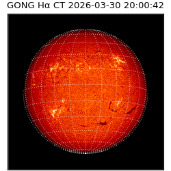 gong - 2026-03-30T20:00:42