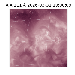 saia - 2026-03-31T19:00:09.624000