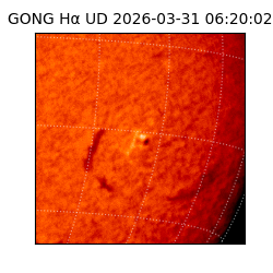 gong - 2026-03-31T06:20:02