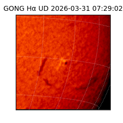 gong - 2026-03-31T07:29:02
