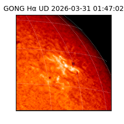 gong - 2026-03-31T01:47:02