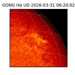 gong - 2026-03-31T06:20:02