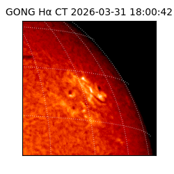 gong - 2026-03-31T18:00:42