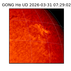 gong - 2026-03-31T07:29:02