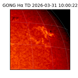 gong - 2026-03-31T10:00:22