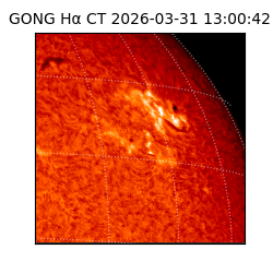gong - 2026-03-31T13:00:42
