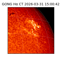 gong - 2026-03-31T15:00:42