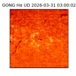 gong - 2026-03-31T03:00:02