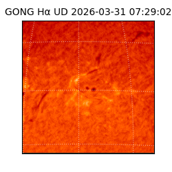gong - 2026-03-31T07:29:02