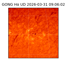 gong - 2026-03-31T09:06:02