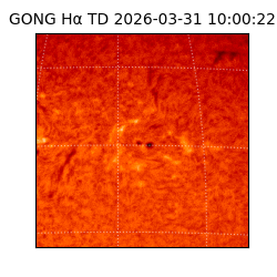 gong - 2026-03-31T10:00:22