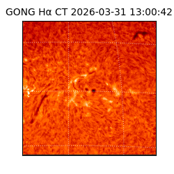 gong - 2026-03-31T13:00:42