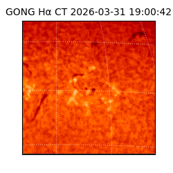 gong - 2026-03-31T19:00:42