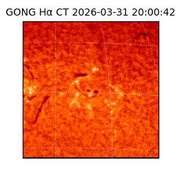 gong - 2026-03-31T20:00:42