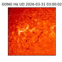 gong - 2026-03-31T03:00:02