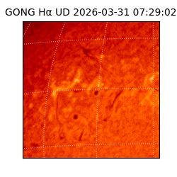 gong - 2026-03-31T07:29:02