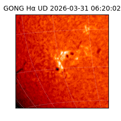 gong - 2026-03-31T06:20:02