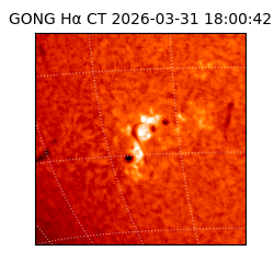 gong - 2026-03-31T18:00:42