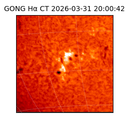 gong - 2026-03-31T20:00:42