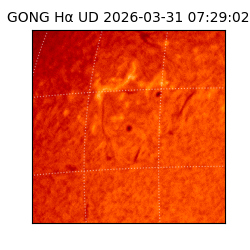 gong - 2026-03-31T07:29:02